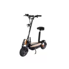 X-scooters XT01 WOOD 36V Li