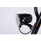X-scooters XT01 WOOD 36V Li