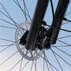 TENWAYS CGO800S (Light Rosé) 2024 SE